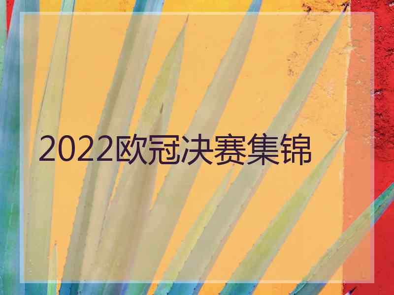 2022欧冠决赛集锦