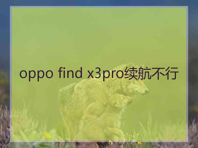 oppo find x3pro续航不行