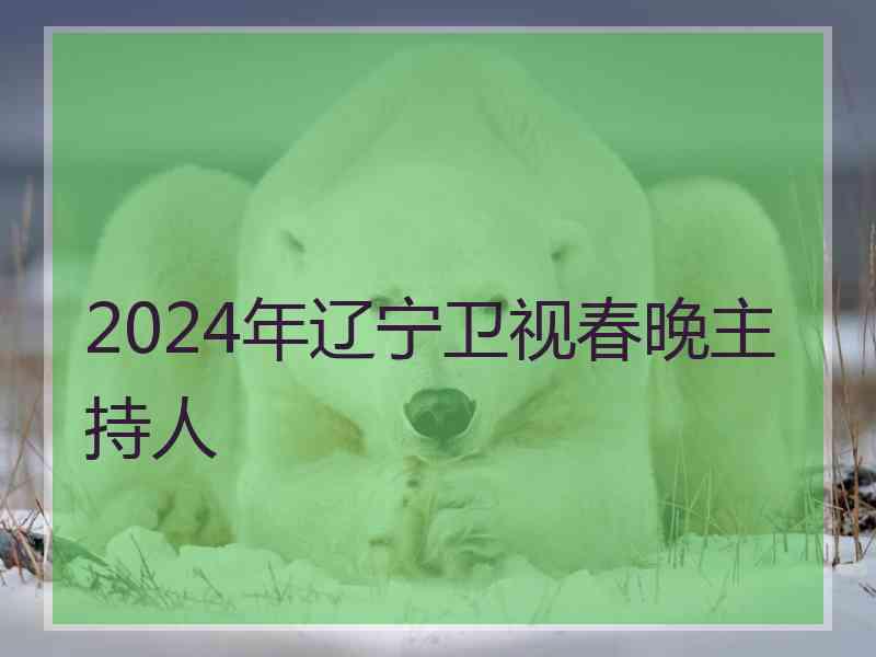 2024年辽宁卫视春晚主持人