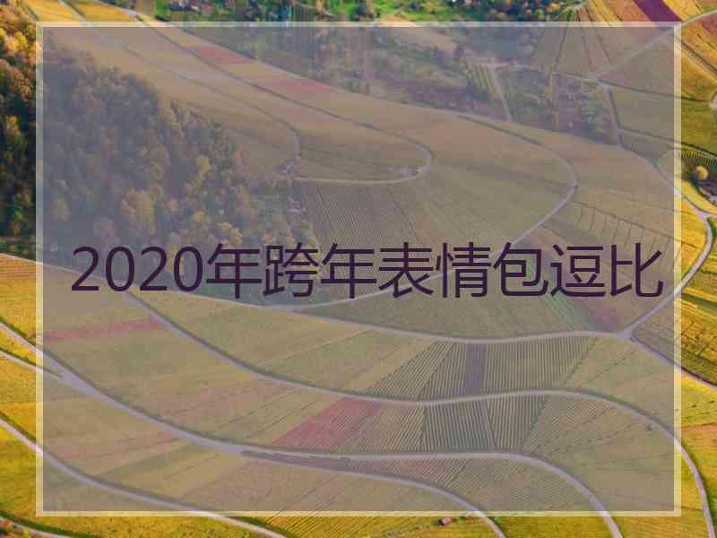 2020年跨年表情包逗比