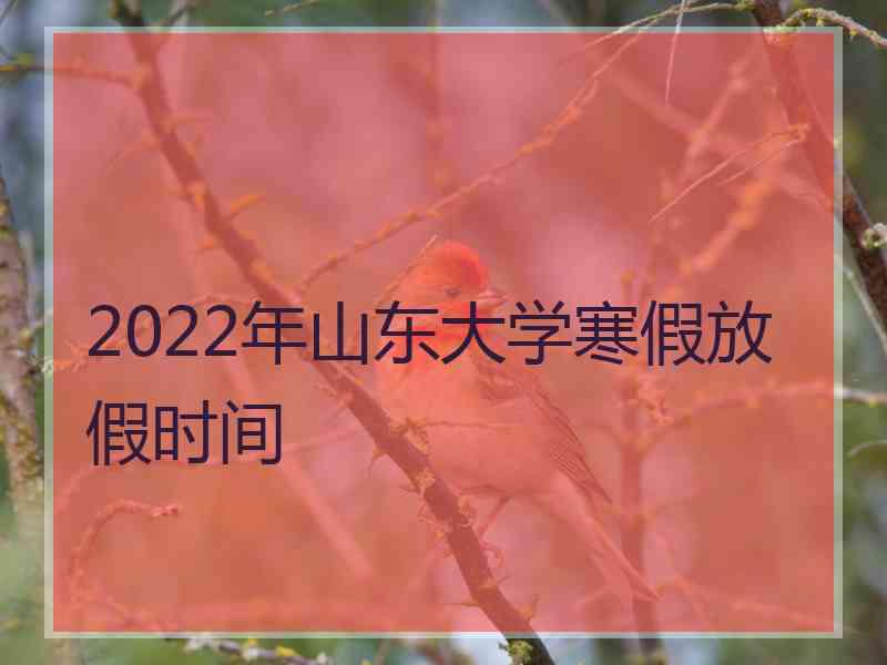 2022年山东大学寒假放假时间