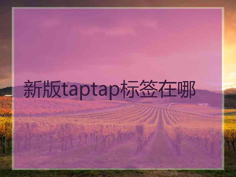 新版taptap标签在哪