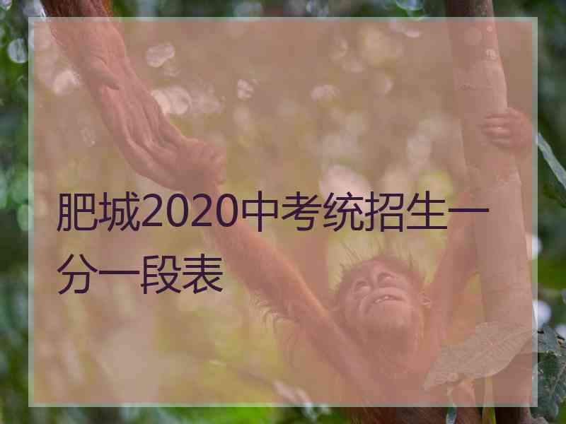 肥城2020中考统招生一分一段表