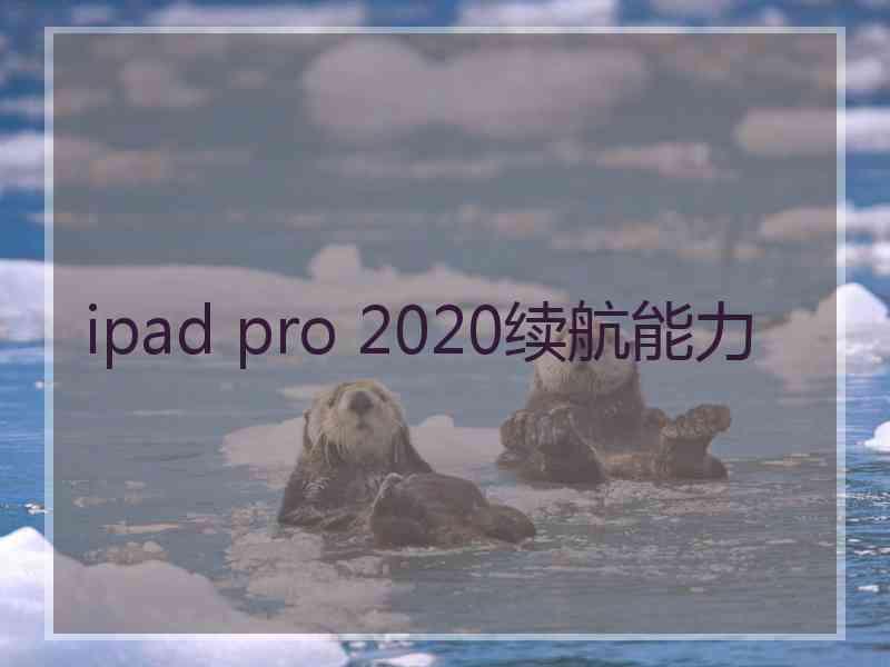 ipad pro 2020续航能力