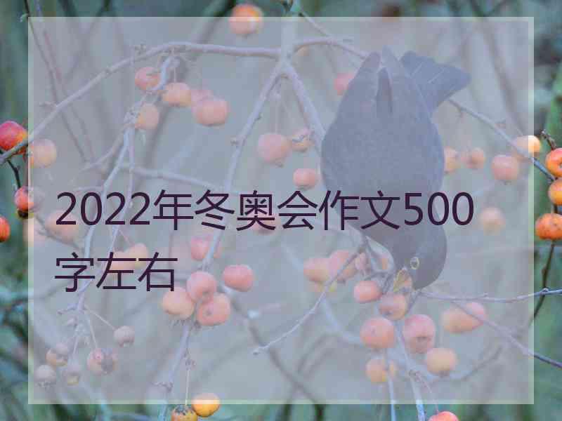 2022年冬奥会作文500字左右