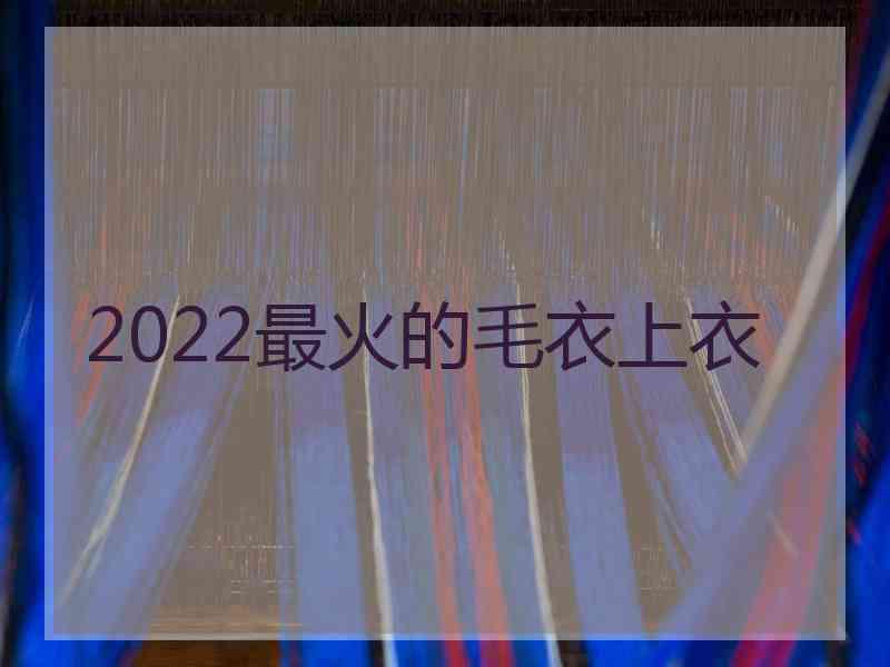 2022最火的毛衣上衣