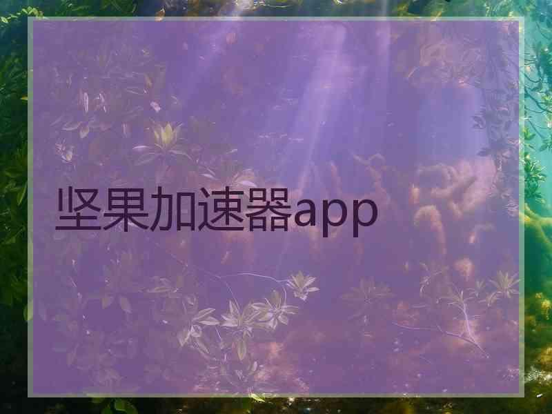 坚果加速器app