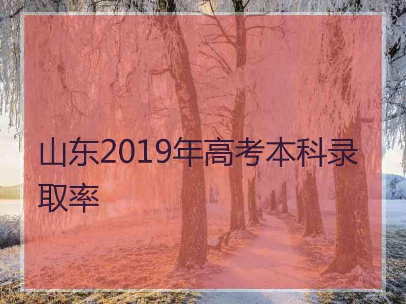 山东2019年高考本科录取率