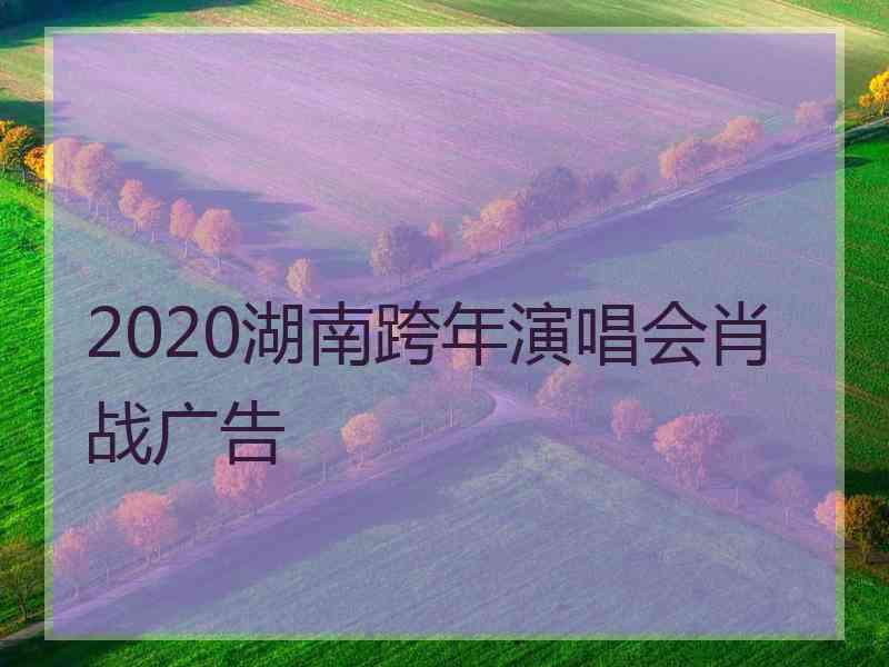 2020湖南跨年演唱会肖战广告