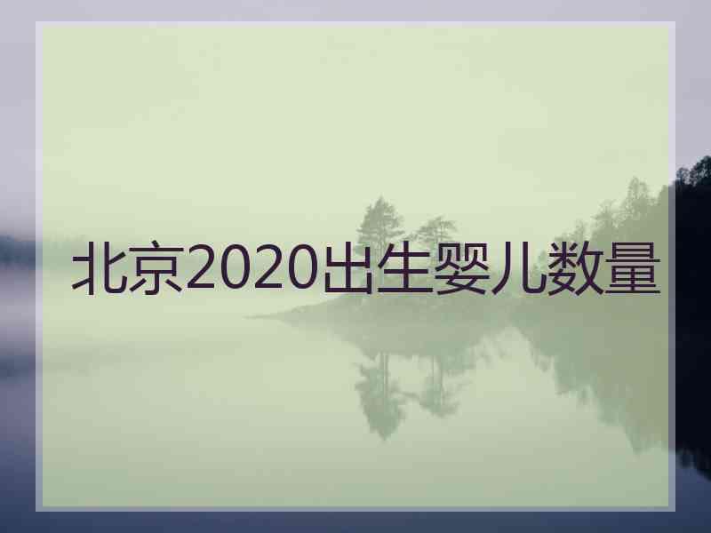 北京2020出生婴儿数量