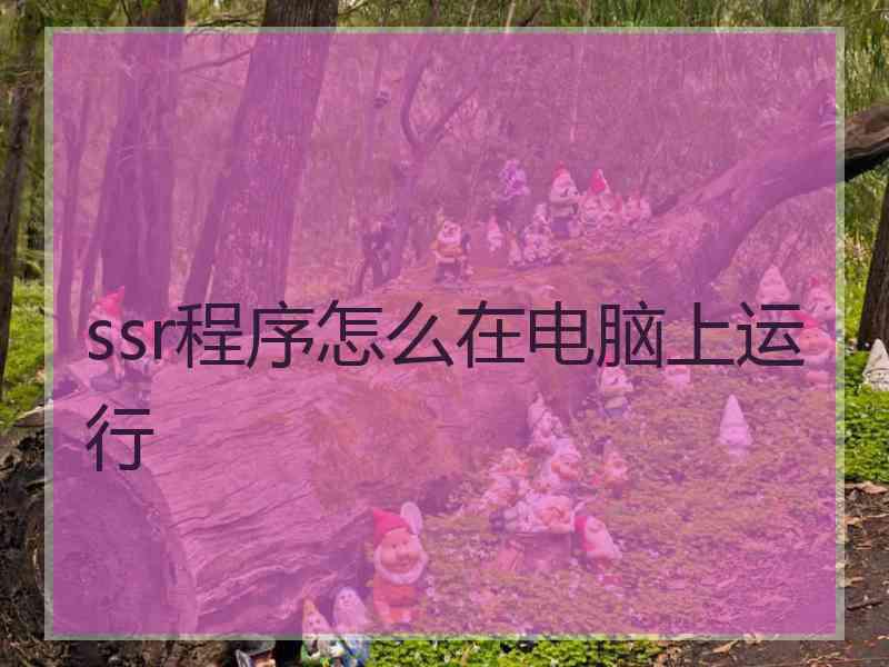 ssr程序怎么在电脑上运行