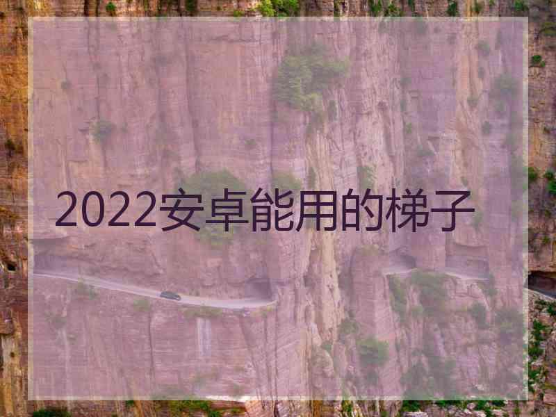 2022安卓能用的梯子