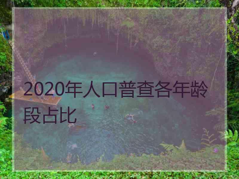 2020年人口普查各年龄段占比