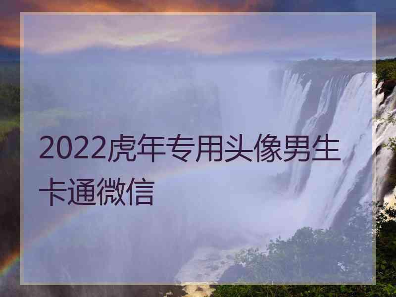 2022虎年专用头像男生卡通微信