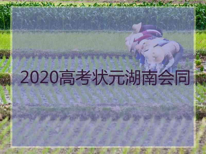 2020高考状元湖南会同