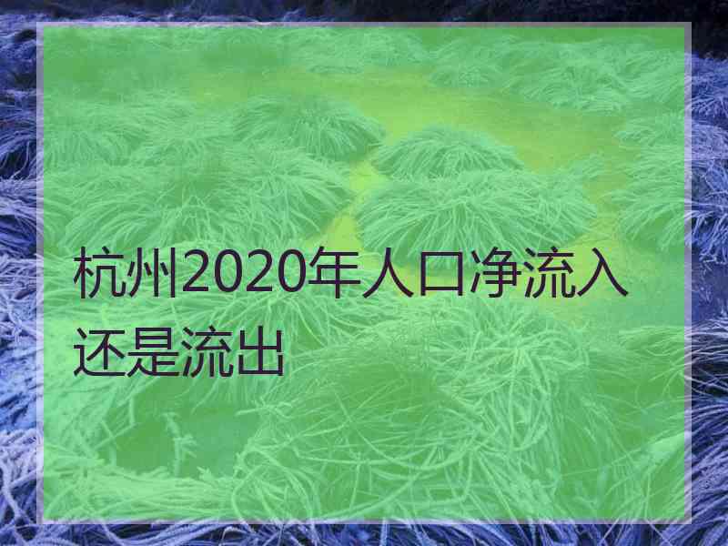 杭州2020年人口净流入还是流出