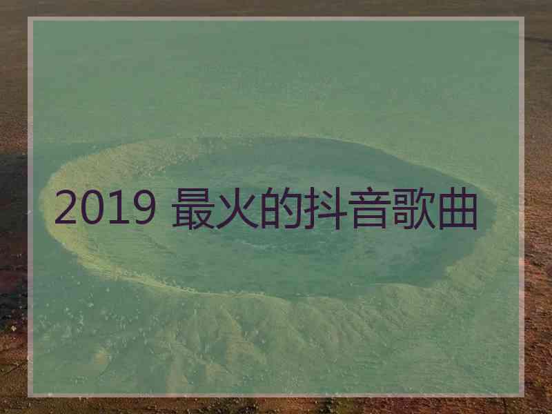 2019 最火的抖音歌曲