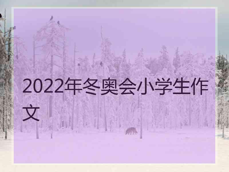 2022年冬奥会小学生作文