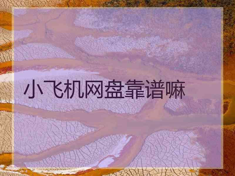 小飞机网盘靠谱嘛