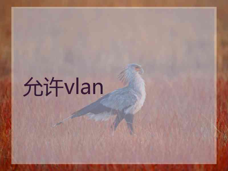 允许vlan