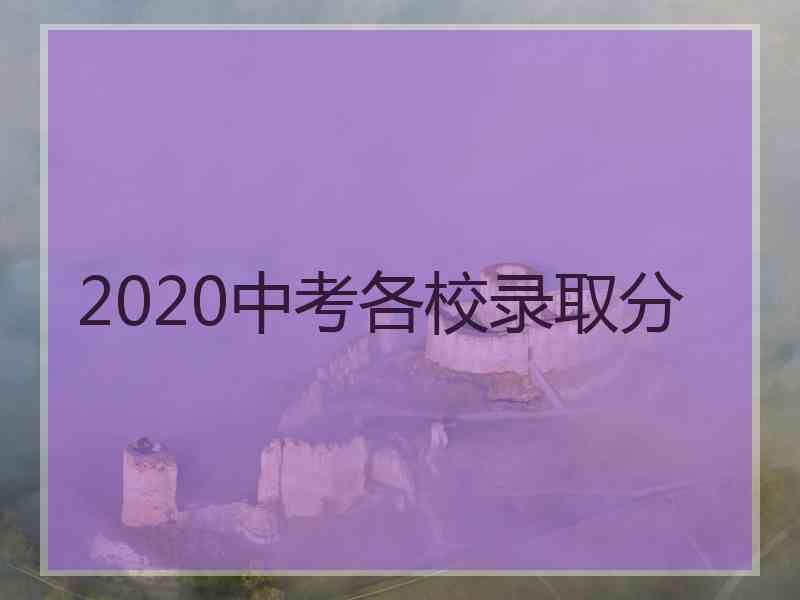 2020中考各校录取分