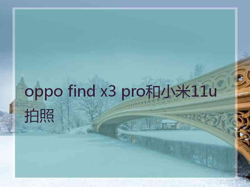 oppo find x3 pro和小米11u拍照