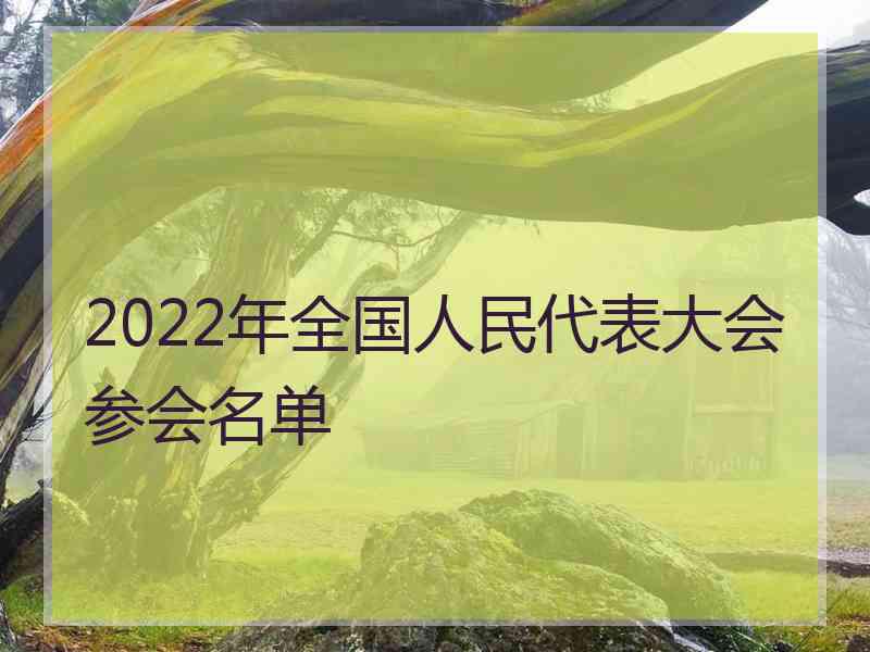 2022年全国人民代表大会参会名单