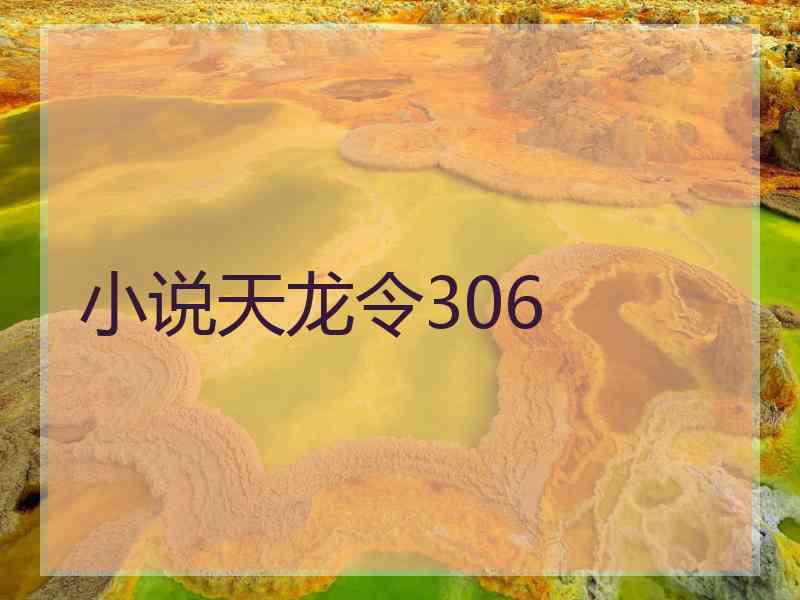 小说天龙令306