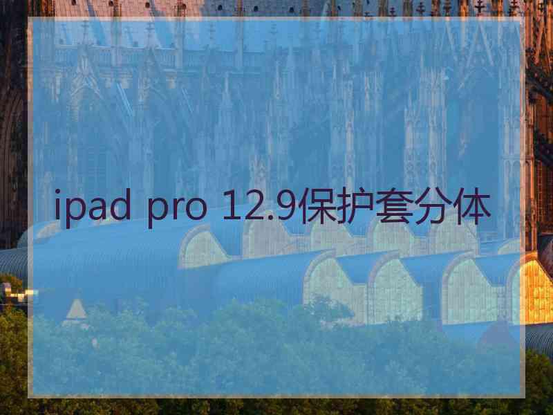 ipad pro 12.9保护套分体