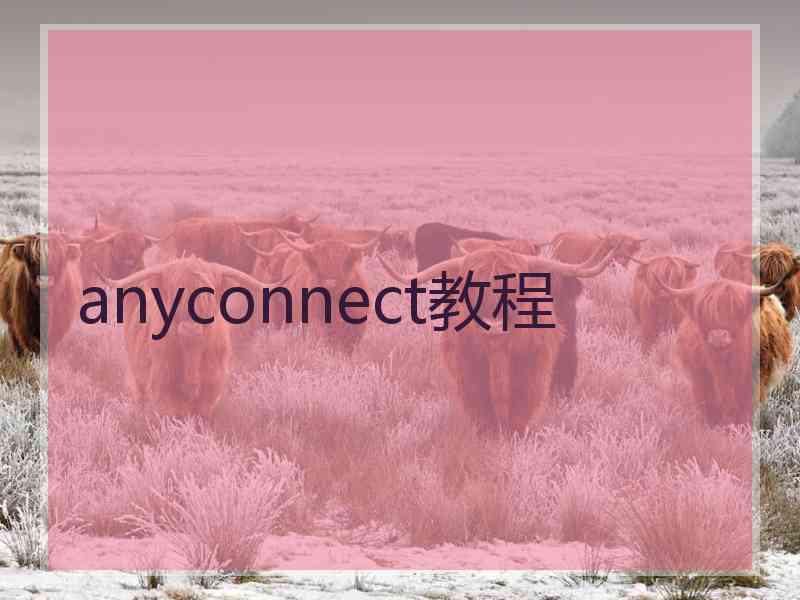 anyconnect教程