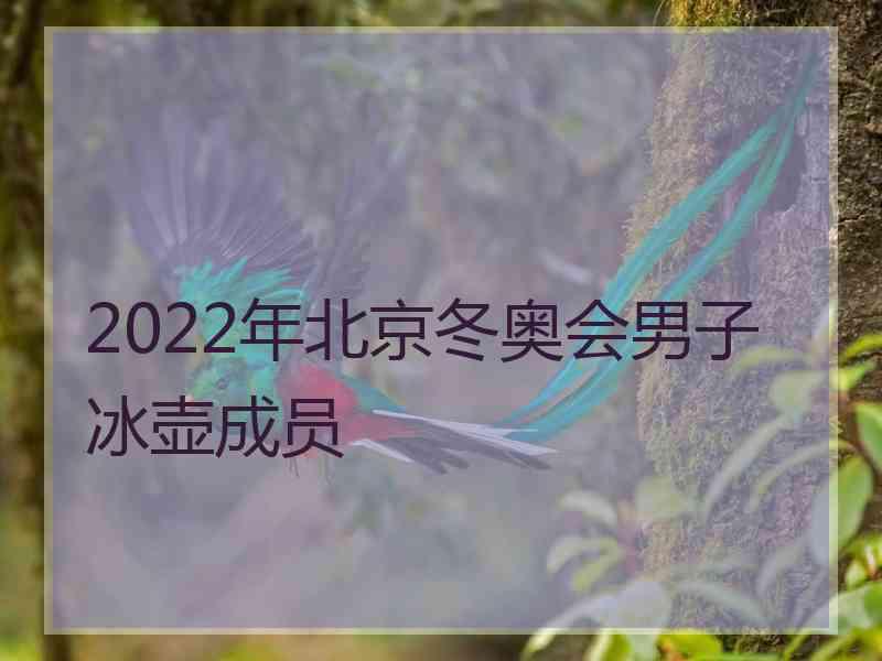 2022年北京冬奥会男子冰壶成员