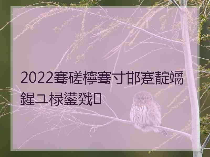 2022骞磋檸骞寸邯蹇靛竵鍟ユ椂鍙戣