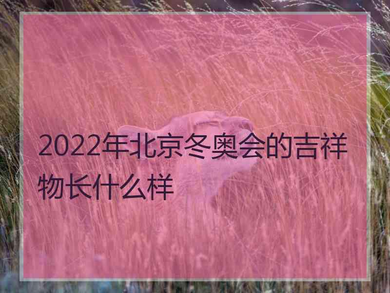 2022年北京冬奥会的吉祥物长什么样