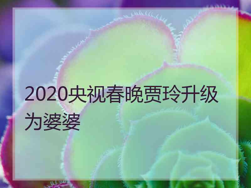 2020央视春晚贾玲升级为婆婆