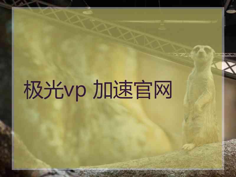 极光vp 加速官网