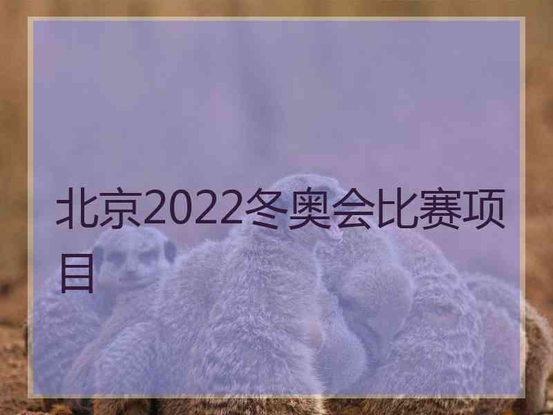 北京2022冬奥会比赛项目