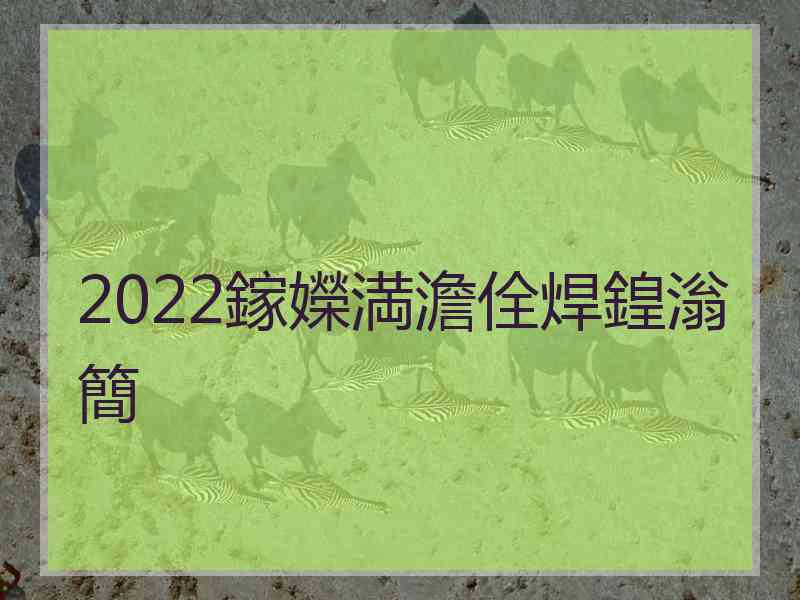 2022鎵嬫満澹佺焊鍠滃簡