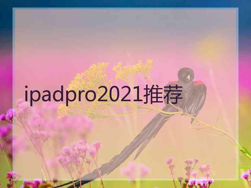 ipadpro2021推荐