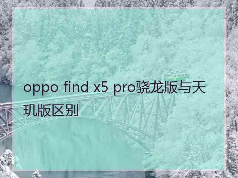 oppo find x5 pro骁龙版与天玑版区别