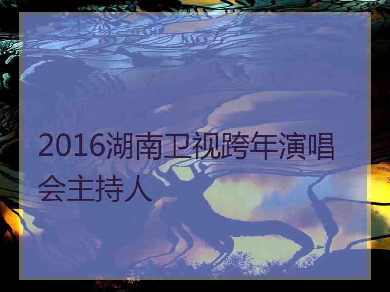 2016湖南卫视跨年演唱会主持人