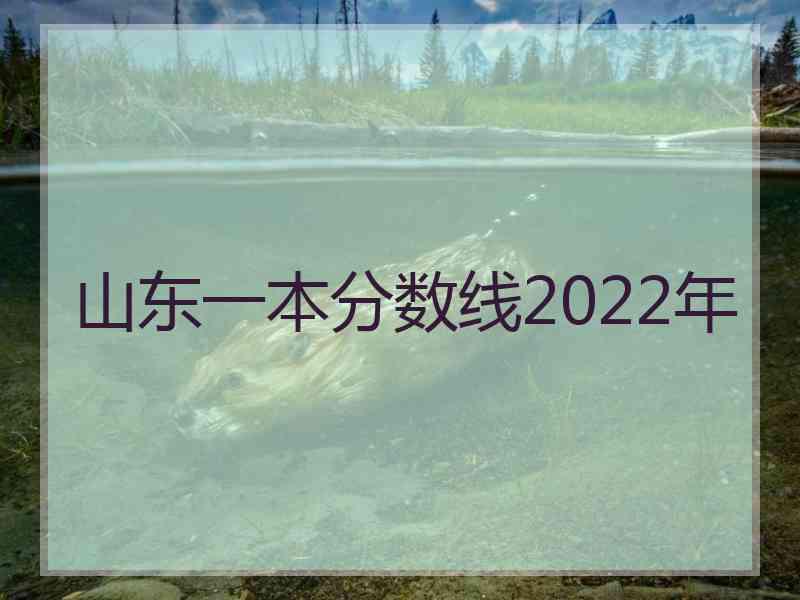 山东一本分数线2022年