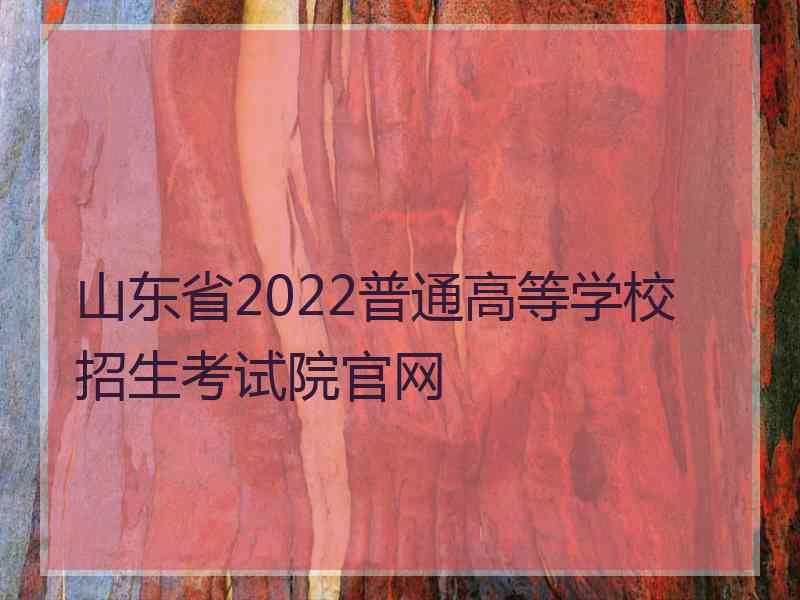 山东省2022普通高等学校招生考试院官网