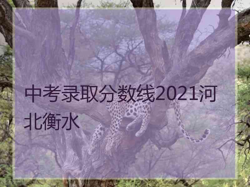 中考录取分数线2021河北衡水