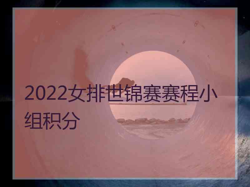 2022女排世锦赛赛程小组积分