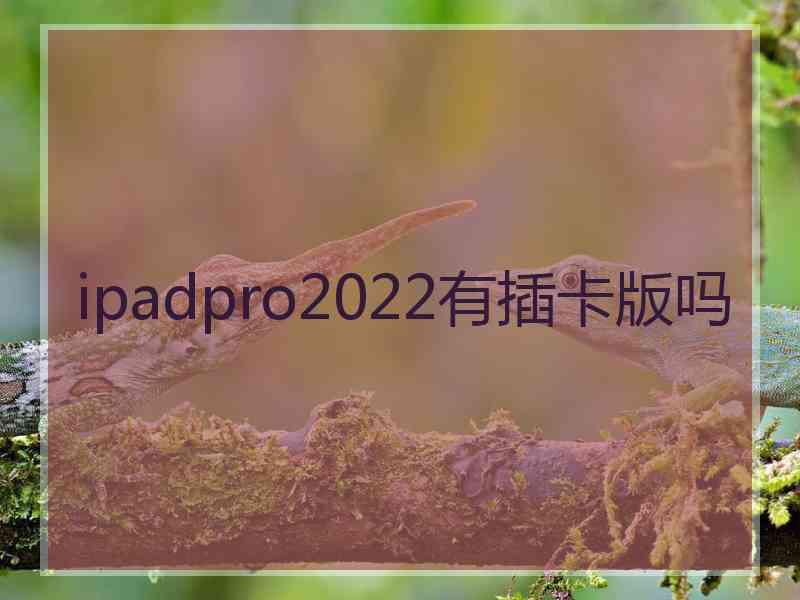 ipadpro2022有插卡版吗