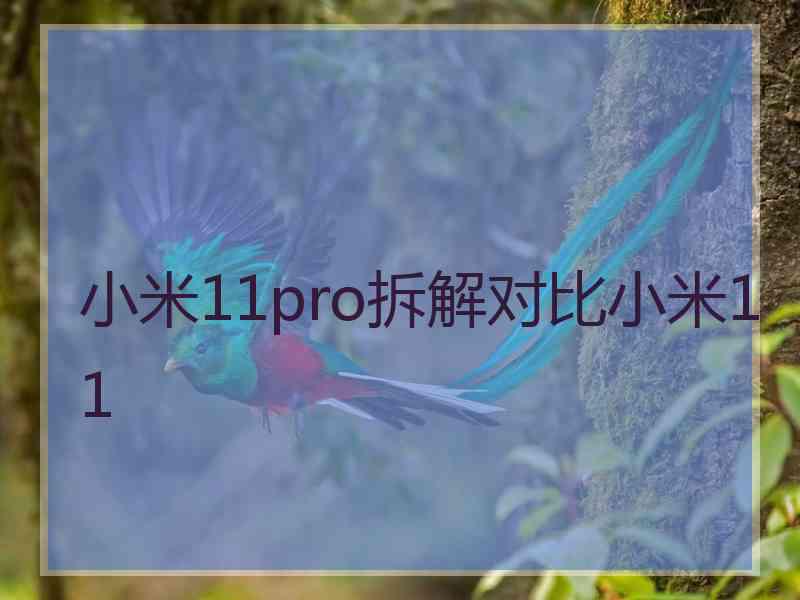 小米11pro拆解对比小米11