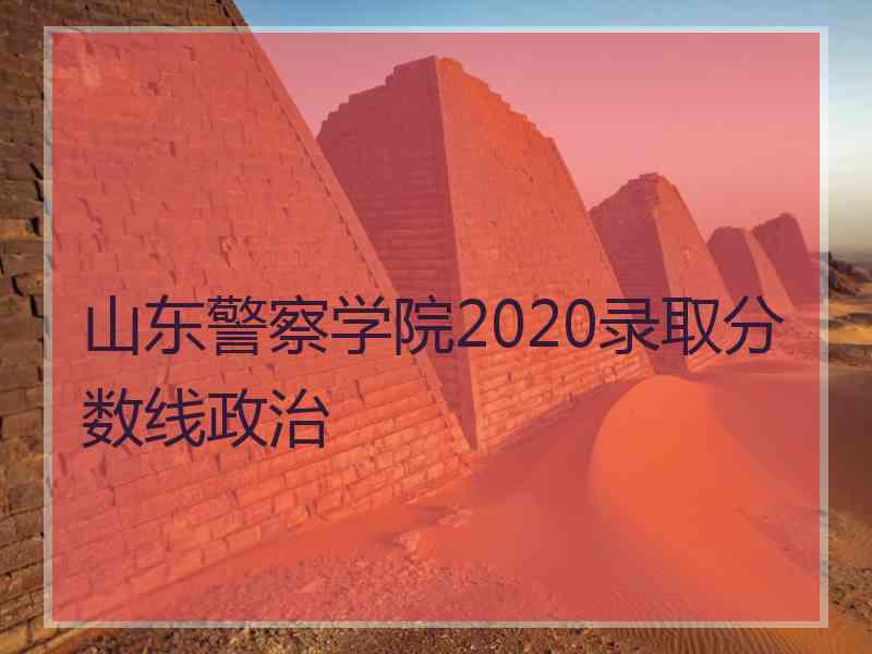 山东警察学院2020录取分数线政治