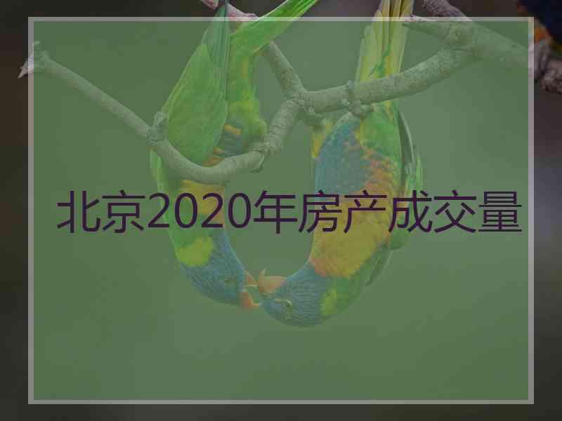 北京2020年房产成交量