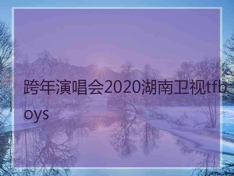 跨年演唱会2020湖南卫视tfboys