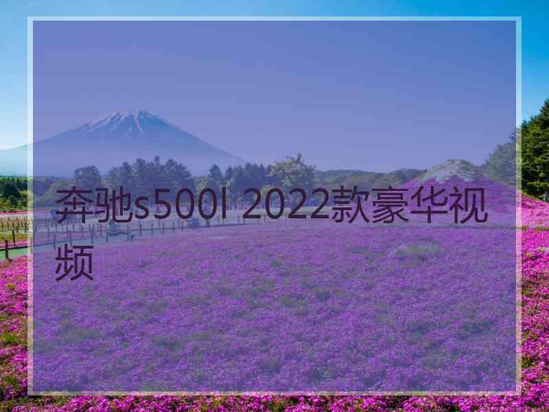 奔驰s500l 2022款豪华视频